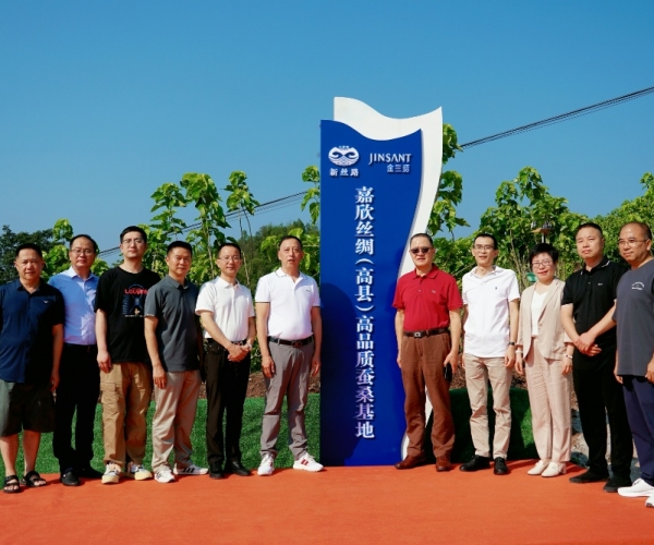 嘉欣絲綢（高縣）高品質(zhì)蠶?；卣浇遗?！